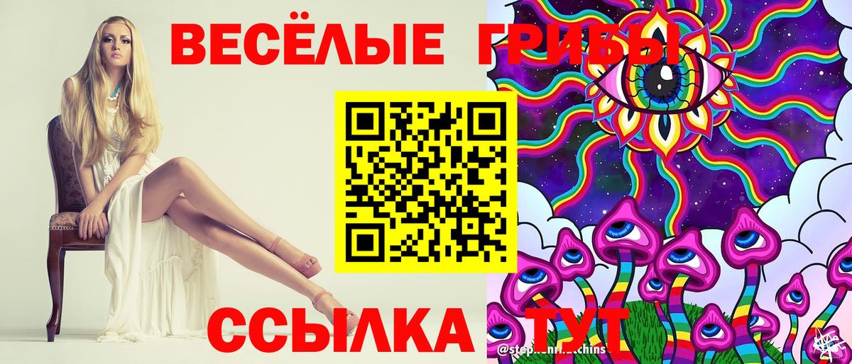 Псилоцибиновые грибы Cubensis  Вход с VPN  Кузнецк  магазин  наркотиков  Галлюциногенные грибы Cubensis 